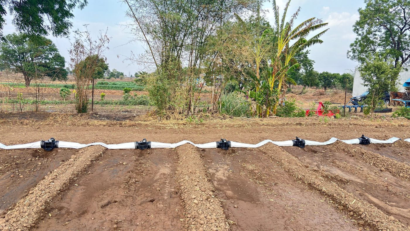 Traditional sprinkler and drip irrigation in Indian farms